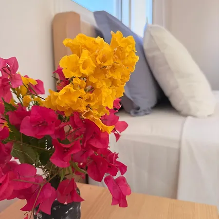 Case de vacanță Lovely Home,kapparis,2 Swimming Pools,wifi *